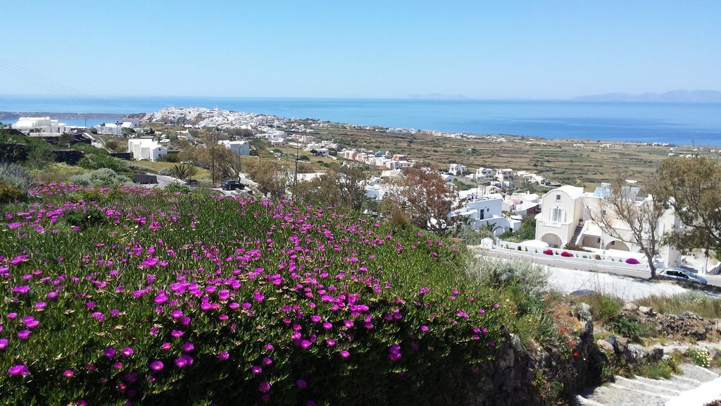 Alonistra Oia Foinikia (Santorini)