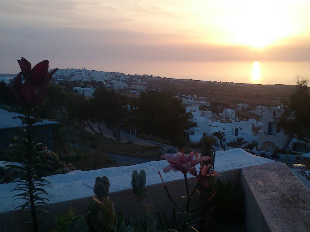 Alonistra Oia